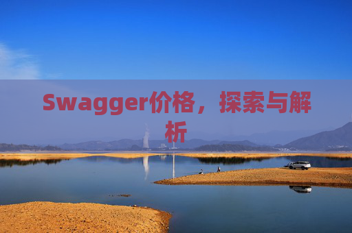 Swagger价格，探索与解析